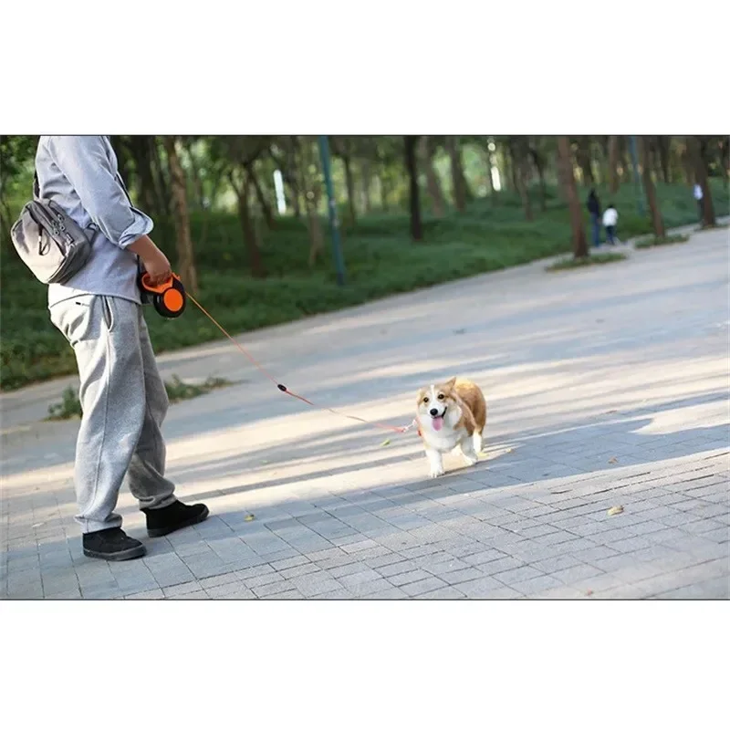 Retractable Dog Leash – Automatic Nylon Pet Leash with Quick Lock – Image 3