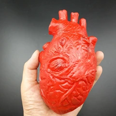 Halloween Latex Horror Props – Bloody Hand, Foot, Brain, Heart & Finger – Image 8