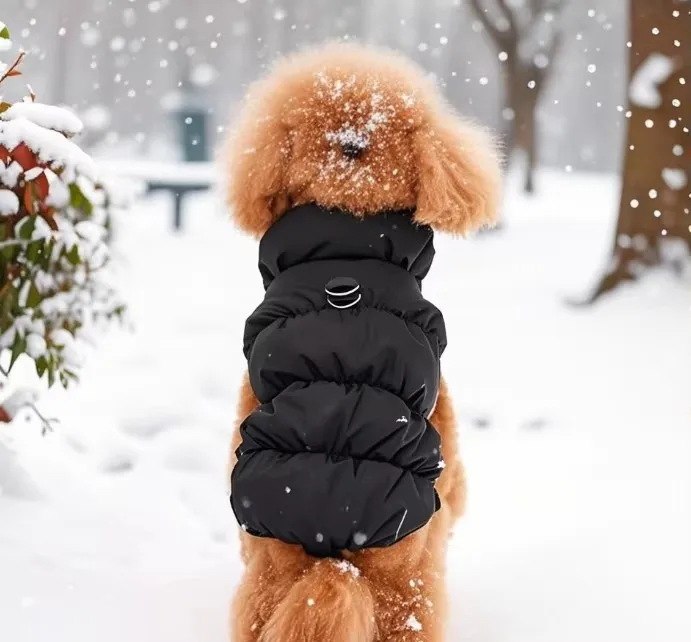 Warm Dog and Cat Winter Vest – Soft Turtleneck Jacket for Small and Medium Pets – Image 5