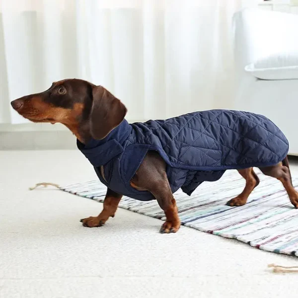 Winter Waterproof Dachshund Coat – Warm Dog Jacket with Harness Hole – Image 5